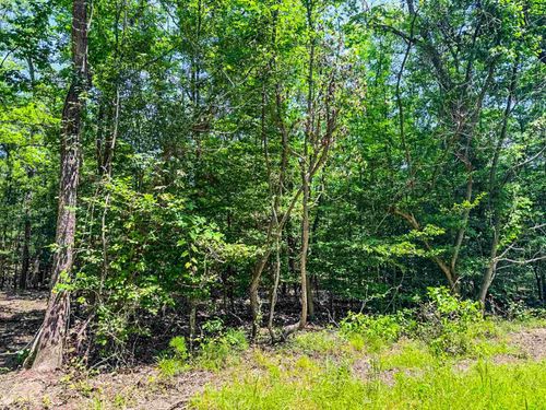 sec-1-lot-37-TBD County Road 3420, Jefferson, TX, 75657 | Card Image