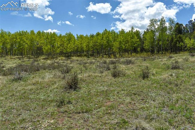 130 Eleven Mile State Park, Home with 0 bedrooms, 0 bathrooms and null parking in Lake George CO | Image 12