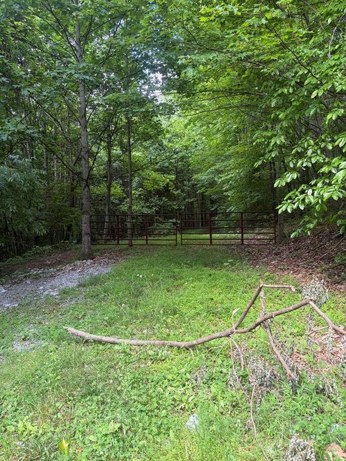 TBD Dark Hollow Rd, North Tazewell, VA, 24630 | Card Image