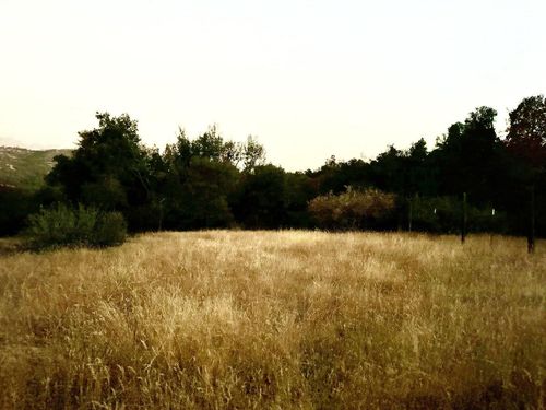 369 Hogback Rd, Miramonte, CA, 93641 | Card Image