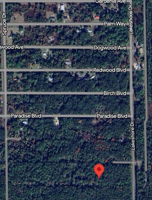 330 Chipola Dr, Georgetown, FL, 32139 | Card Image