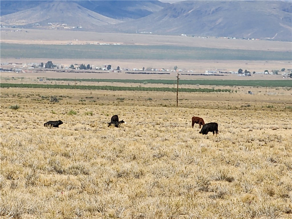 Land in Kingman 2