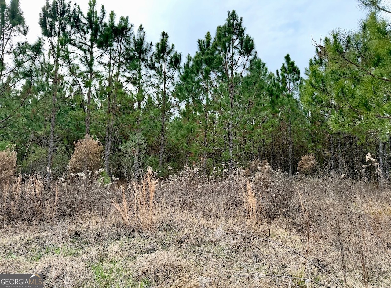 Land in Glennville 2