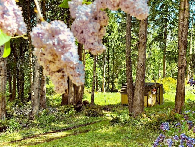 4507 Whiteman Rd Sw, House other with 2 bedrooms, 2 bathrooms and 4 parking in Longbranch WA | Image 29