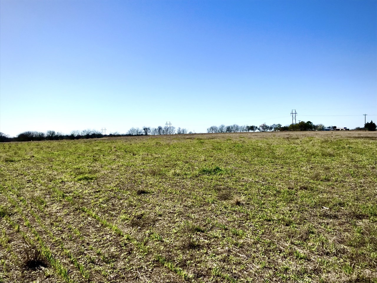 Land in Ennis 3