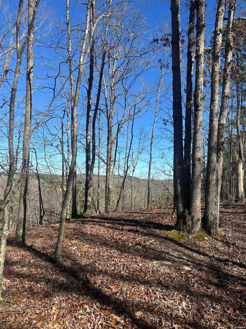 00M Walnut Valley Road, Hot Springs Village, AR, 71909 | Card Image