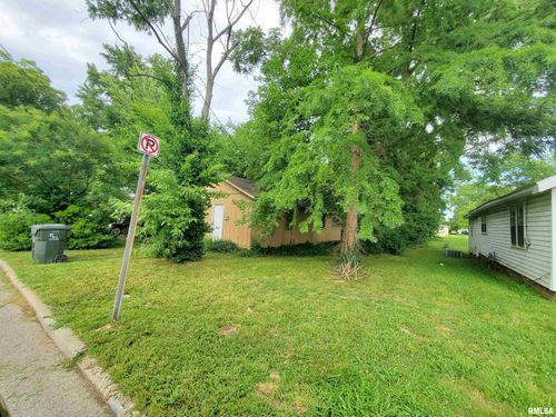 603 N Carico St, Carbondale, IL, 62901-1317 | Card Image