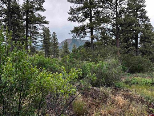 401 Deer Trl, Pagosa Springs, CO, 81147-9637 | Card Image