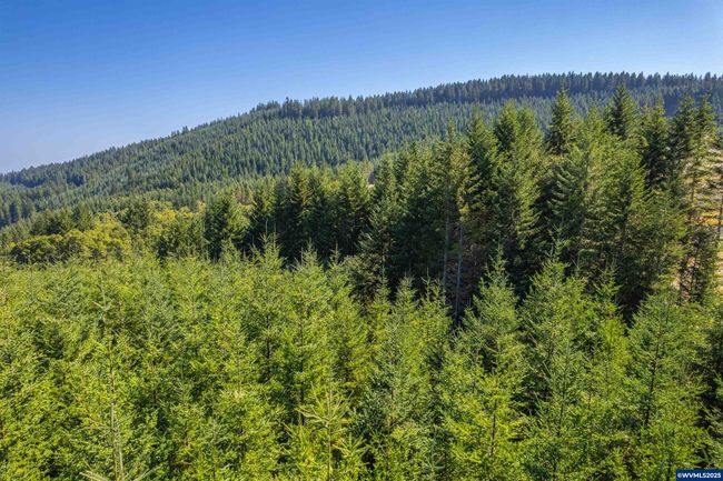 0 Bald Mountain Rd, Home with 0 bedrooms, 0 bathrooms and null parking in Beaver OR | Image 19