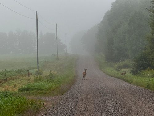 2179 Schalk Rd, Ogema, WI, 54459 | Card Image