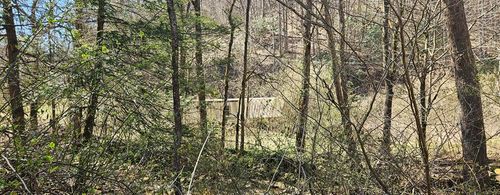 3687 Old Kentucky Turnpike Rd, Raven, VA, 24639-8343 | Card Image