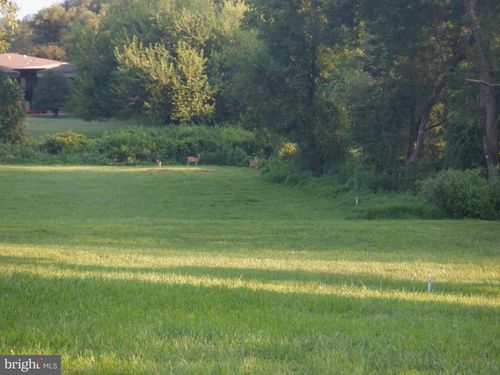 2938 Route 97, GLENWOOD, MD, 21738-9706 | Card Image