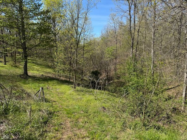 view of nature with a forest view | Image 20
