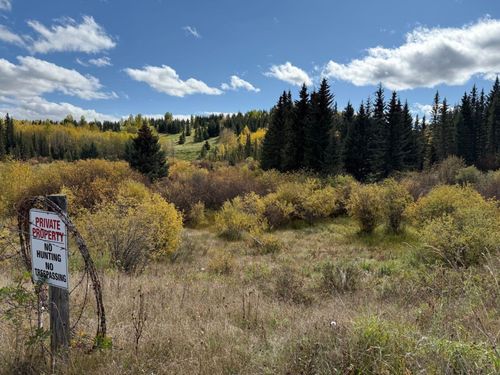 Lot 4 Jamieson Road, Rural Bighorn No. 8, M.d. Of, AB, T4C1B7 | Card Image