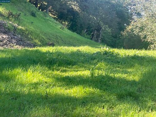 2965 2965 Rohrer Dr, Lafayette, CA, 94595 | Card Image