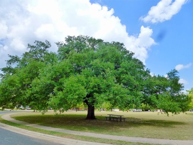 Park with picnic table just down the way | Image 33
