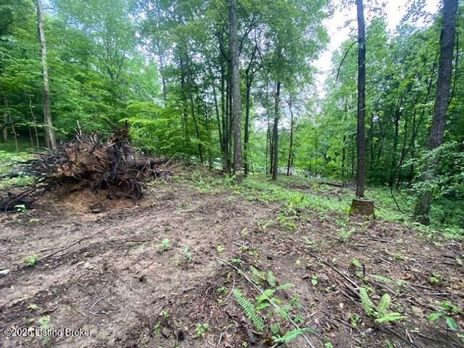 0 Waterview Ln, Home with 0 bedrooms, 0 bathrooms and null parking in Cub Run KY | Image 5
