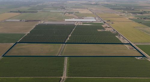 11998 Wilson Rd, Los Banos, CA, 93635-9719 | Card Image