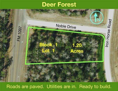 109 Noble Dr, New Waverly, TX, 77358 | Card Image