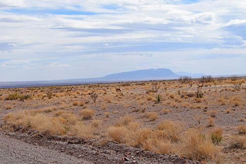 Lot 124 Rolling Hills, San Antonio, NM, 87832 | Card Image