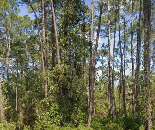 304 Rosewood St, GEORGETOWN, FL, 32139-2635 | Card Image
