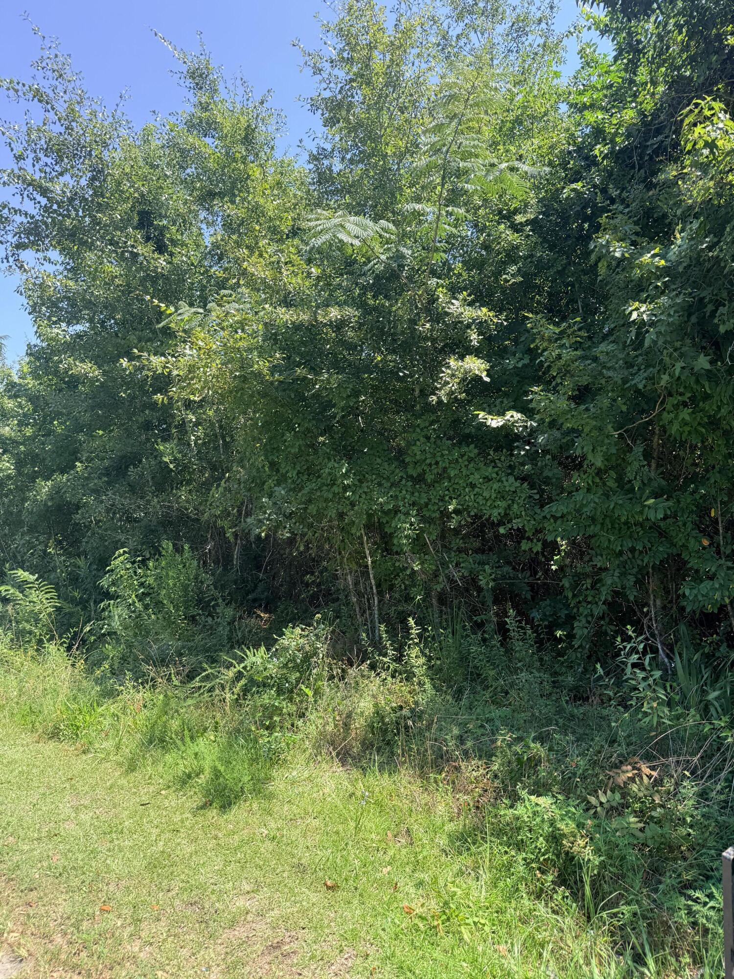 Land in McClellanville