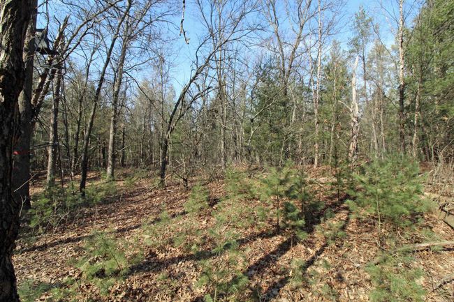 7750 Pine Rd, House other with 3 bedrooms, 2 bathrooms and null parking in ARENA WI | Image 54