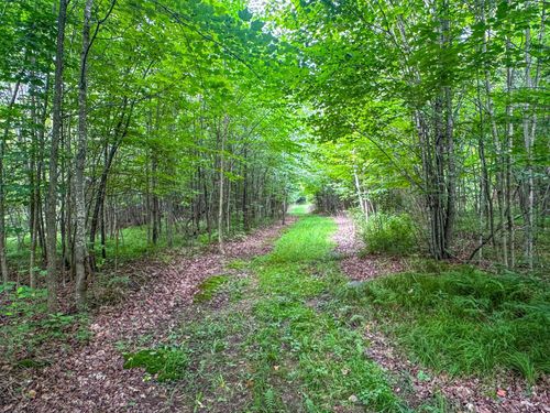 93.89A on Kundinger Road, PARK FALLS, WI, 54552 | Card Image