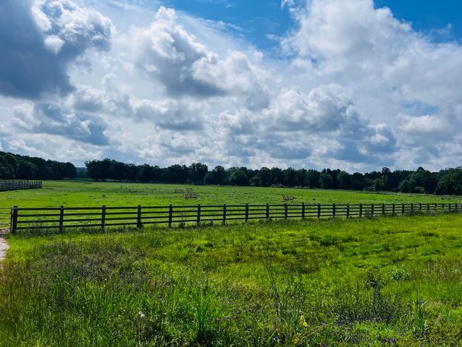 glascock9 | Image 5