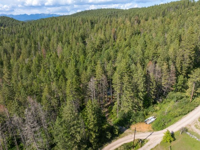 Bird's eye view of a forest and a mountain backdrop | Image 20