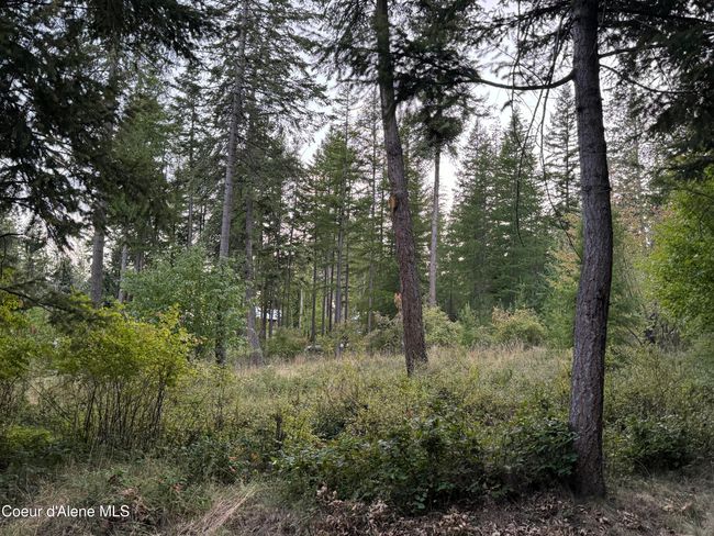 524 Glacier Loop, House other with 1 bedrooms, 1 bathrooms and null parking in Bayview ID | Image 48