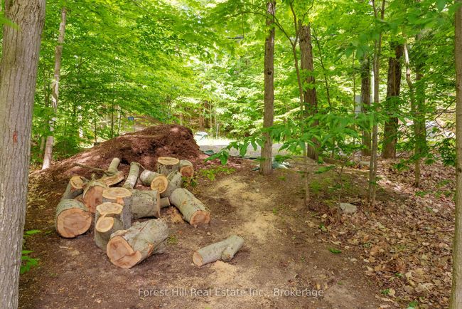 1054 Fair Lee Park Rd, Home with 0 bedrooms, 0 bathrooms and 1 parking in Minett ON | Image 18