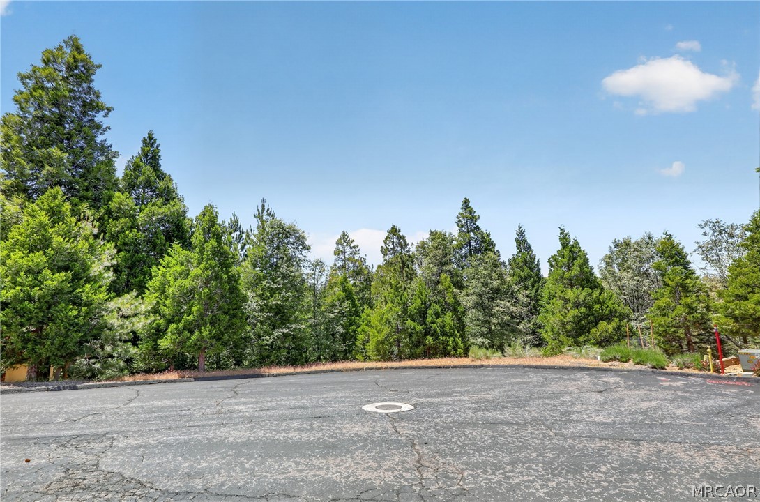 Land in Lake Arrowhead 5