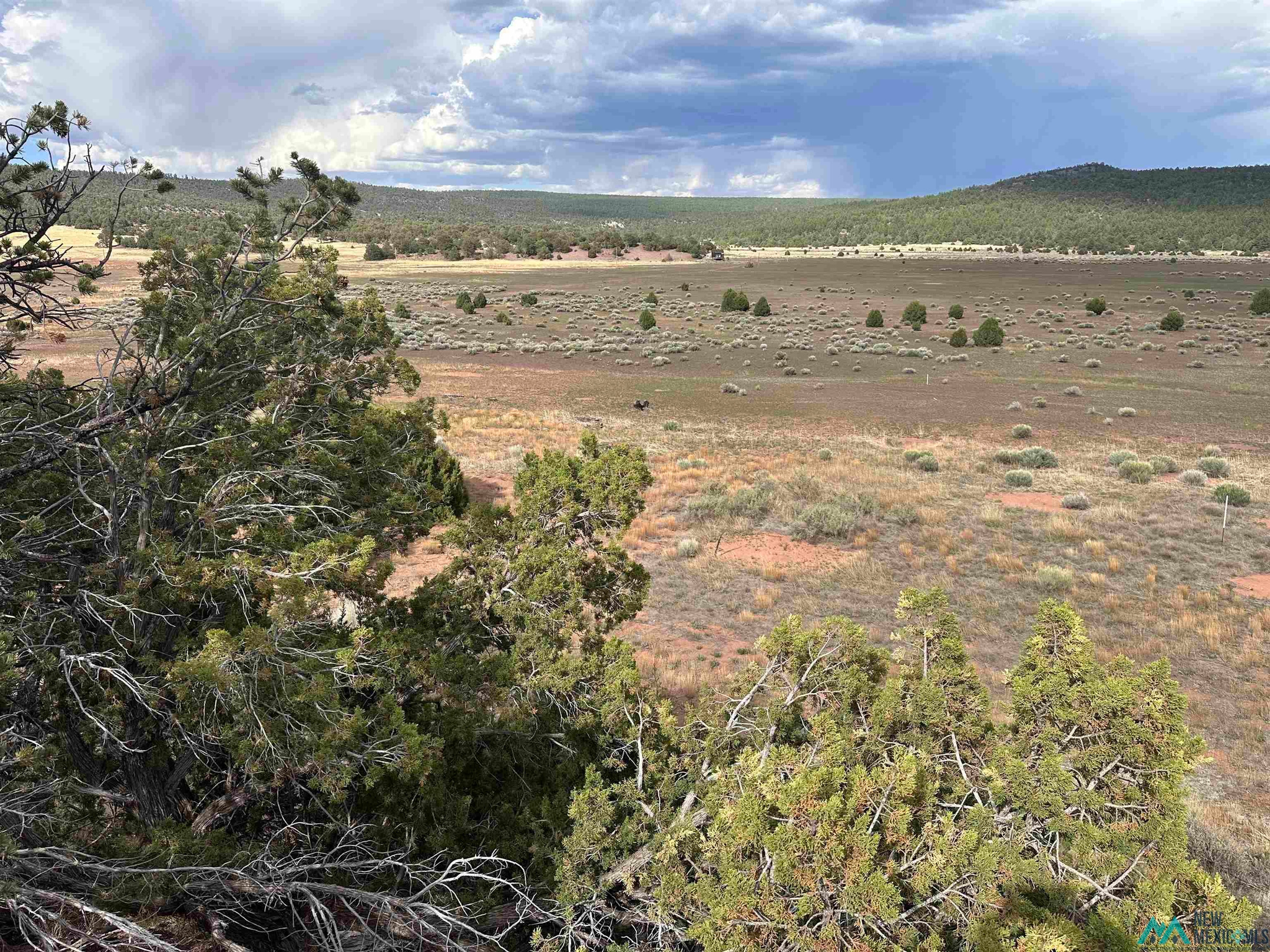 Land in Ramah 2