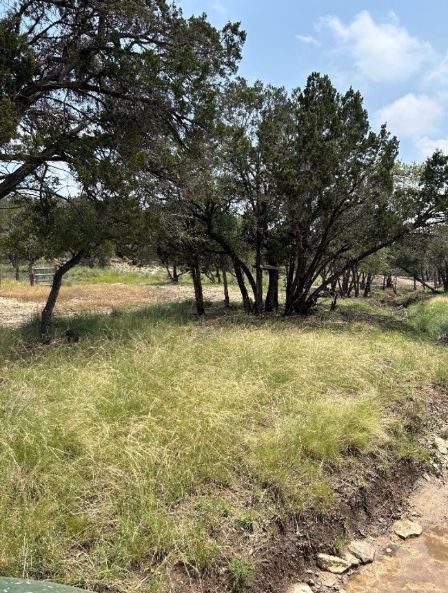 00 Old Red Ranch Rd, Home with 0 bedrooms, 0 bathrooms and null parking in Dripping Springs TX | Image 5