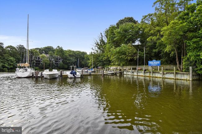 APT-202 - 1136 Cove Rd, Condo with 1 bedrooms, 1 bathrooms and null parking in ANNAPOLIS MD | Image 31