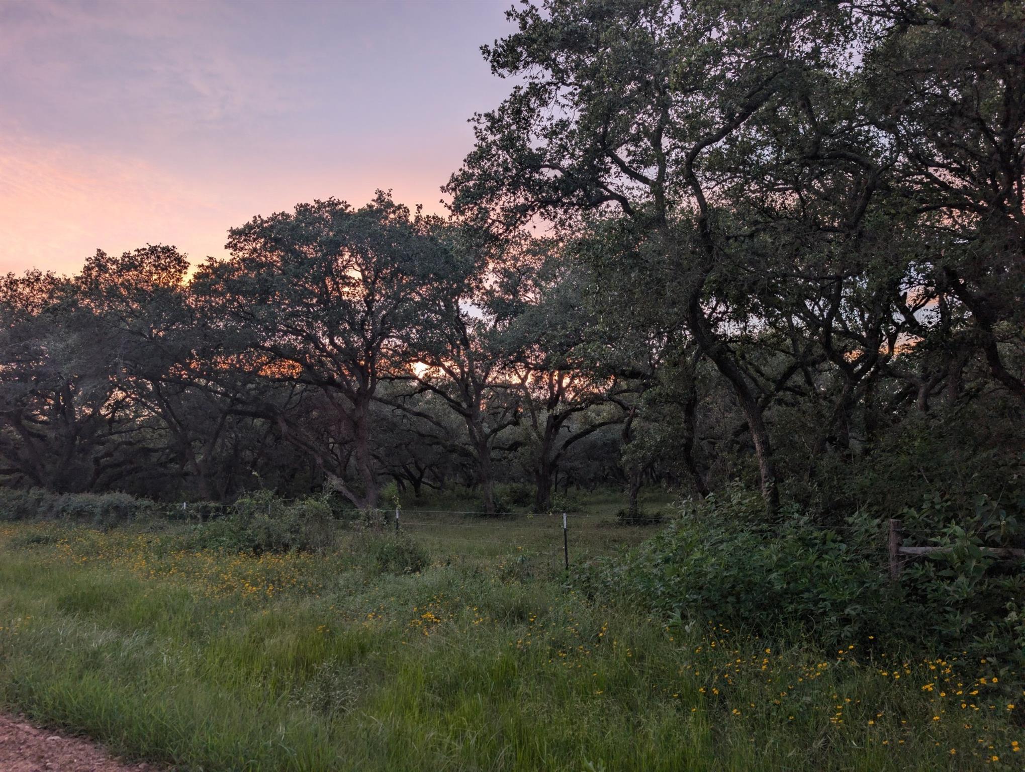 Farm in Rock Island 5