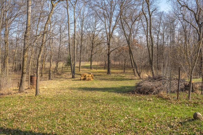 Acres and acres to roam | Image 39