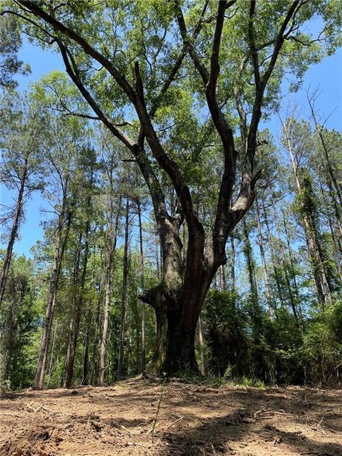 TBD Highway 38, Greensburg, LA, 70441 | Card Image