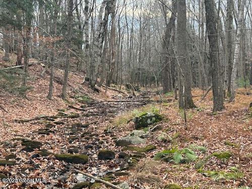 1 Nugent Rd, Cropseyville, NY, 12052-2206 | Card Image