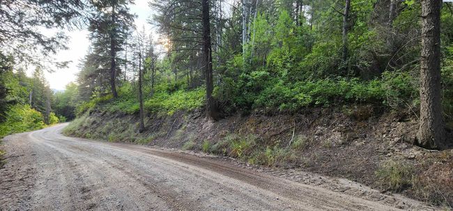 1555 Comstock Mine Rd, Home with 0 bedrooms, 0 bathrooms and null parking in Colville WA | Image 6