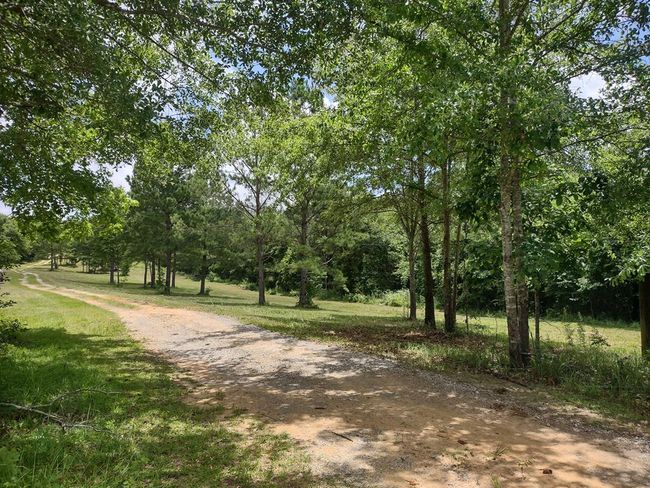 1100 Sapp Rd, House other with 3 bedrooms, 3 bathrooms and 3 parking in Dry Branch GA | Image 27