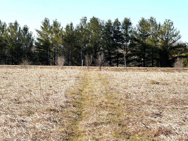 4052 S River Rd, Home with 0 bedrooms, 0 bathrooms and null parking in Cheboygan MI | Image 8