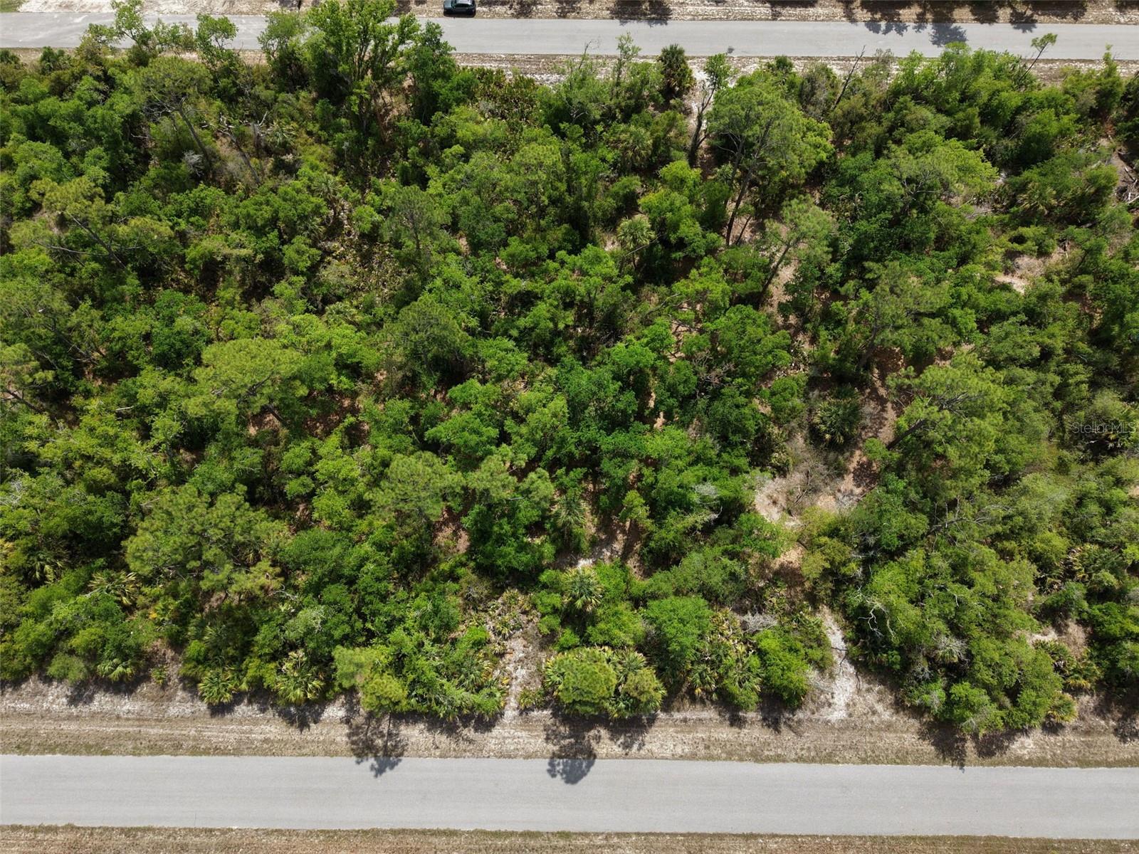 Land in PORT CHARLOTTE 5