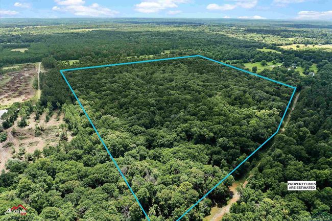 TRACT-3 - TBD Pr 1335, Home with 0 bedrooms, 0 bathrooms and null parking in Marshall TX | Image 10