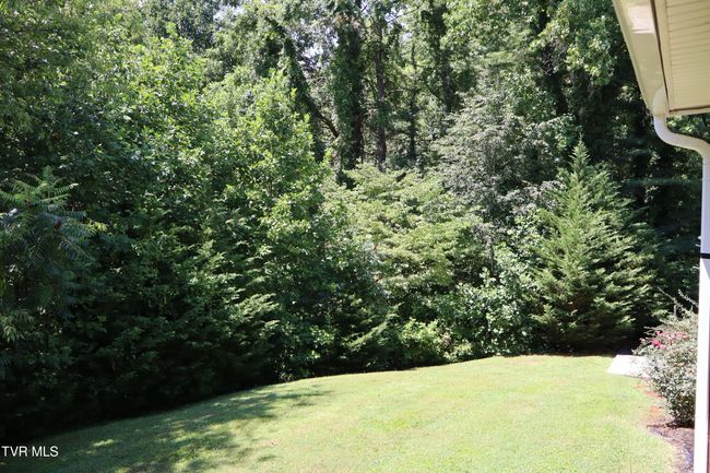 103 Forrest Dr, House other with 4 bedrooms, 3 bathrooms and null parking in Jonesborough TN | Image 49
