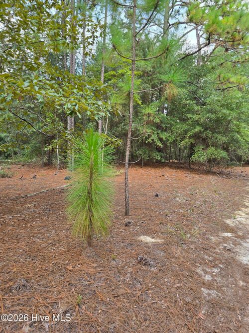 317 R J Johnson Road, Allendale, SC, 29810 | Card Image