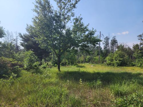 0 Stitt Ln, Mio, MI, 48647 | Card Image