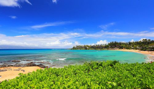 5135 A Kipulu Pl, Lahaina, HI, 96761 | Card Image