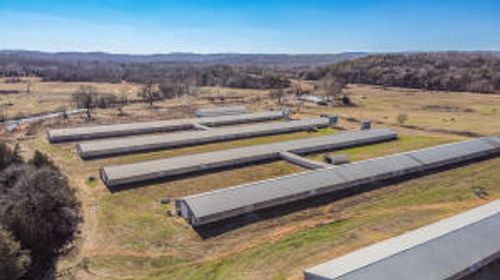 5055 Highway 164, Hartman, AR, 72840-8835 | Card Image